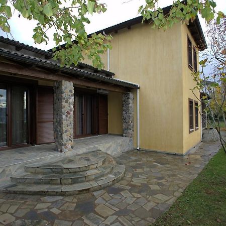 Wood And Stone Villa Ioannina Luaran gambar